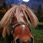 Počitniška hiša Skalca