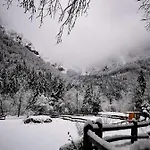 Skalca Počitniška hiša *