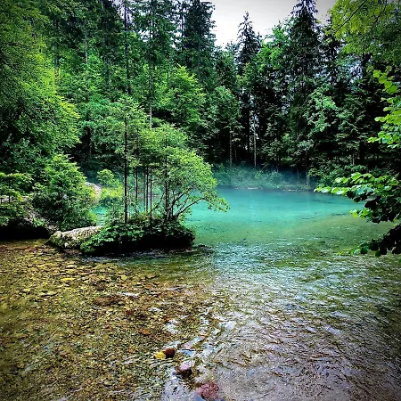 Skalca Počitniška hiša Kamniska Bistrica