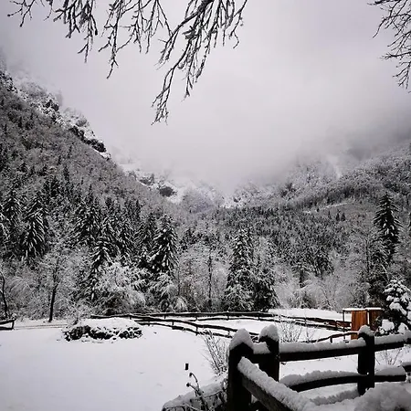 Skalca Vikendica *