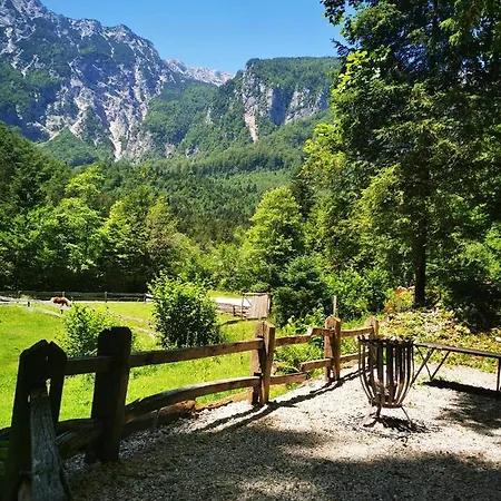 Skalca *